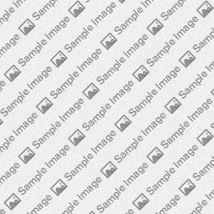 Coordinadora Proyectos